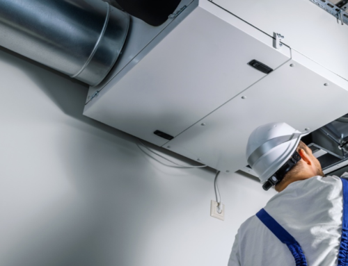 Professional Mold Detection Services: Accurate Identification for Health, Safety, and Compliance