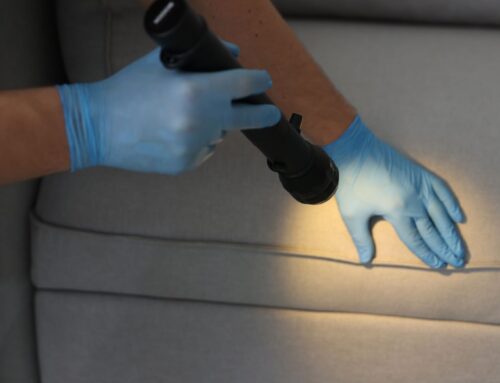 Mold Detection Services: Identifying Hidden Mold to Protect Health and Buildings