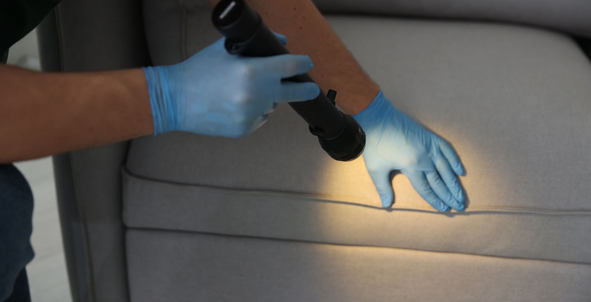 Mold Detection Services