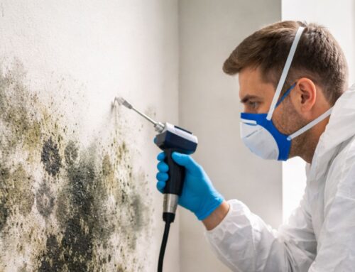 Mold Exposure Test: What It Is, When You Need One, and How It Works