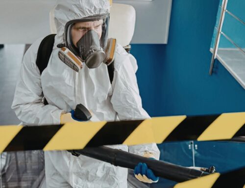 Essential Guide to Hazardous Material Management for Workplace Safety