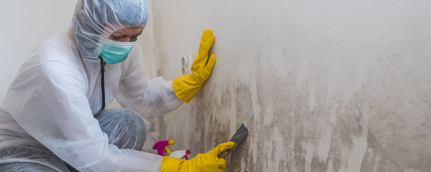 Mold Testing