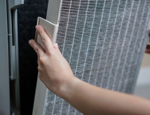 Why You Need a Vacuum with HEPA Filter for Allergy Relief